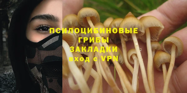 дмт Армянск