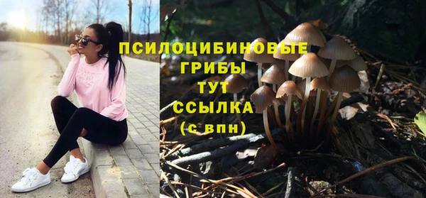 дмт Армянск