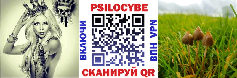 Галлюциногенные грибы Magic Shrooms  Белорецк 