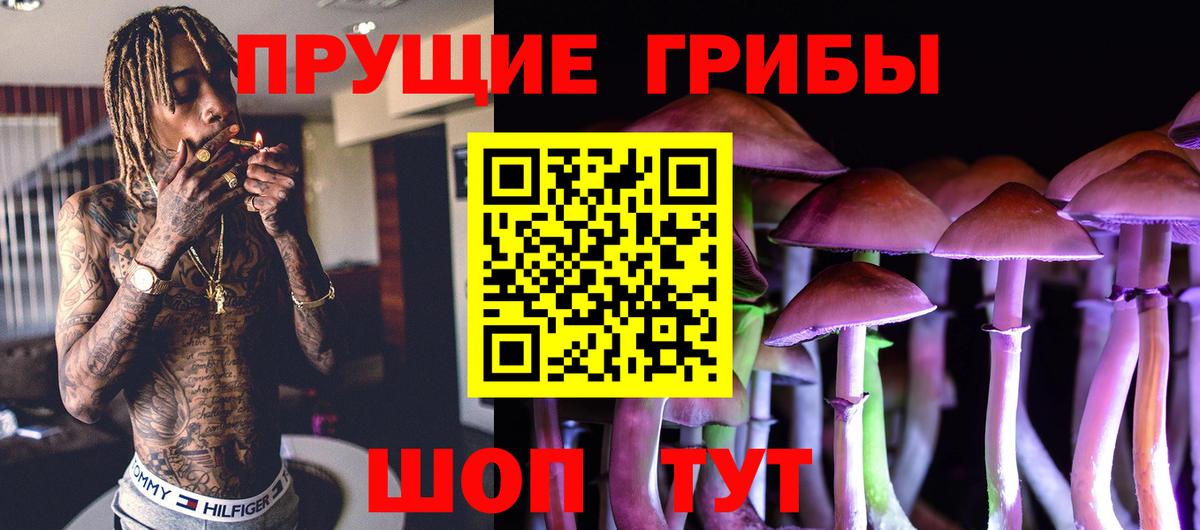 Галлюциногенные грибы Psilocybe Белорецк